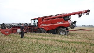 Case IH 9250 AxialFlow Gets Totally Stuck in The Muddy Field During Harvest  Danish Agriculture [upl. by Seugirdor]