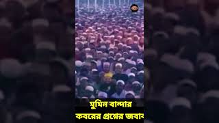 মুমিন বান্দার কবরের প্রশ্নের জবাব  allama delwar hussain saidi waz দেলোয়ারহোসাইনসাঈদী waz [upl. by Remos]