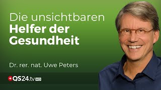 Entsäuerung amp Entgiftung Wie bioidentische Enzyme unser Leben verändern können  QS24 TV [upl. by Anaeerb268]