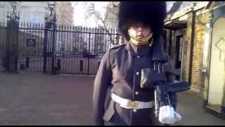 buckingham palace guard [upl. by Evette]