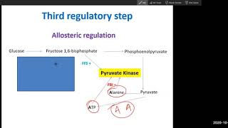 Glycolysis Regulation 3rd regulatory step Pyruvate kinase [upl. by Ecnedac698]