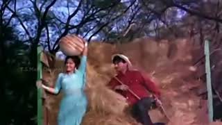 Kaanton Se Kheench Ke Yeh Aanchal  Lata Mangeshkar  Dev Anand Waheeda Rehman  Guide 1965 [upl. by Annairt]