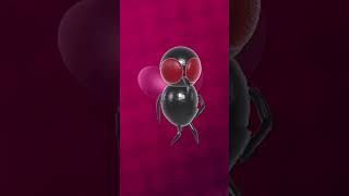 This mrfly dances to any thingmrfly dance groove music party funing [upl. by Mahtal65]