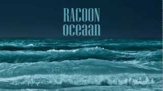 Racoon  Oceaan Lyrics [upl. by Hgielah]