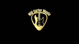 Taste Of Joliet 2024  Will Carter Music [upl. by Kotz]