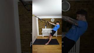 How to do a TRX High Row to Build Muscle [upl. by Aleibarg326]