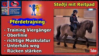 Stedji Reitpad Pferdetraining Tipps aus Unterricht Isländer Islandpferd Tanja Schienagel [upl. by Tri219]