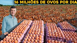 O BRASILEIRO QUE É O NOVO MAIOR PRODUTOR DE OVOS DO MUNDO [upl. by Arrej]