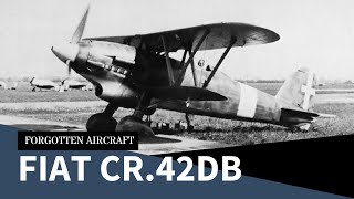 The FIAT CR42DB – Pinnacle of the Biplane [upl. by Acinorav]