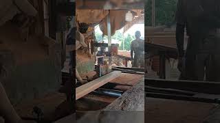 kayu keruing kapur sawmill [upl. by Ajed303]