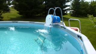 How to get iron out of pool water Effective and cheap Intex pool [upl. by Arnulfo]