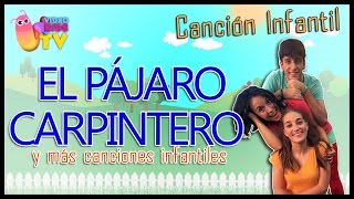 🐦 EL PÁJARO CARPINTERO 🐦 Y MÁS CANCIONES PARA NIÑOS [upl. by Lemon]