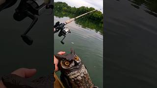 Finding weird stuff floating down the Hiwassee river while catfishing riverfishing [upl. by Llertnahs]