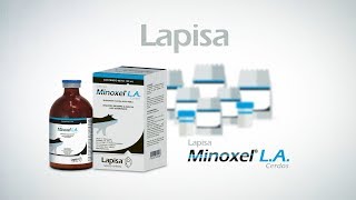 Minoxel® LA indicado para el tratamiento de la Enfermedad Respiratoria Porcina [upl. by Cordey837]