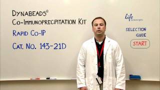 Dynabeads® CoImmunoprecipitation Kit  Product Presentation [upl. by Doughman]