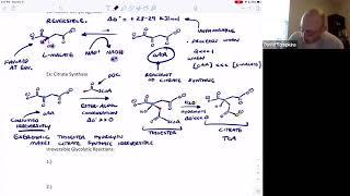 Metabolic Themes I Reversible vs Irreversible Reactions [upl. by Ajssatan]