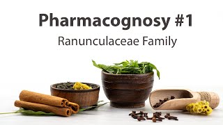 1 Ranunculaceae Family  Pharmacognosy [upl. by Ahsem]