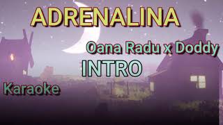 ADRENALINA  Karaoke  Oana Radu x Doddy [upl. by Dorree5]