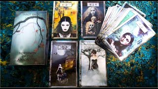 Horsemen of the Apocalypse Tarot Cards 🧟‍♀️ Deck Review 🧠 Unboxing First Impressions [upl. by Pelson]