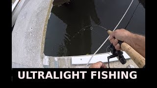 Catching Fiddler Crabs Fishing For Sheepshead Mangrove Snapper With Shrimp [upl. by Almeida]