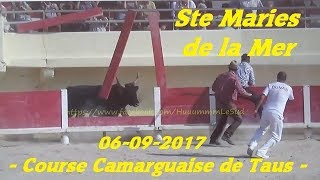 Ste Maries de la MerTausCourse Camarguaise06092017 [upl. by Russ899]