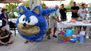 Sonic the Hedgehog Pinata [upl. by Catlin]