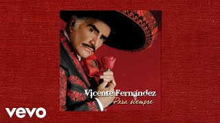 Vicente Fernández  Un Millón de Primaveras Letra  Lyrics  YouTube Music [upl. by Aksel]