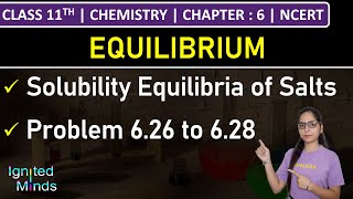 Class 11th Chemistry  Solubility Equilibria of Salts  Problem 626 to 628  Chapter 6  NCERT [upl. by Tabbatha214]