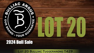 Lot 20 Bulliac Tuggeranong T429 [upl. by Nahtnanhoj]