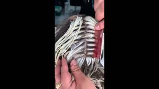 💇‍♀️ Aprende ha hacer MECHAS COLOR PLATINADO Colors Mechas [upl. by Aileme730]