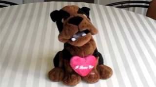 Singing Toy Dog [upl. by Engenia]