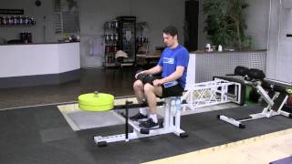 Bodylab øvelsesguide Seated calf raises [upl. by Valerian]