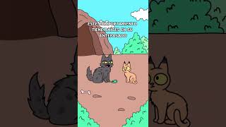 ¿Por qué tu gato tira las cosas al suelo 🐱gatos gato gatitos gatosgraciosos michi michis [upl. by Abigail]