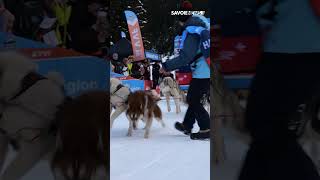 MEGEVE  Première étape de la 20e édition de la Grande Odyssée VVF [upl. by Lateehs477]