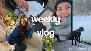 WEEKLY VLOG  się pozmieniało  idę zeznawać na policje storytime🙈 budowa domu  postępy Koko [upl. by Ailahk528]