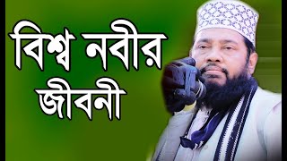 বিশ্বনবীর জিবনী  Bisso nobir Jiboni  আল্লামা তারেক মনোয়ার ওয়াজ  Allama Tarek Monowar Was 2024 [upl. by Noreh]