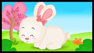 Hop Lapin  Comptine pour bébés  Titounis [upl. by Merrel]