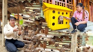 Full video 25 days to make a bed for chickens and a place to store firewood  build a dog cage [upl. by Curkell]