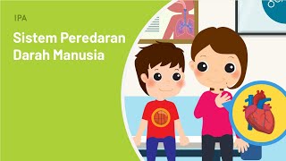 Sistem Peredaran Darah Pada Tubuh Manusia  IPA  SayaBisa [upl. by Hgielrahc]