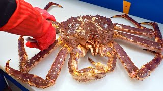 Special skill！Giant King Crab cutting Master Luxurious sashimi Crab fried rice巨大帝王蟹切割大師奢華蟹腳蟹膏炒飯 [upl. by Sherrard]