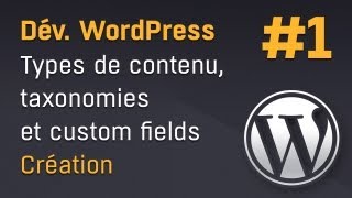 WordPress types de contenu taxonomies metaboxes  partie 1 [upl. by Stortz]