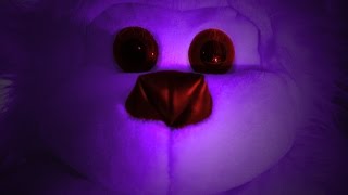 ASMR Binaural Creepypasta The Shredder Monkey [upl. by Hedwig375]