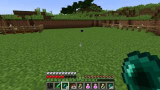 Minecraft Blocks amp Items Endermite [upl. by Farlay321]