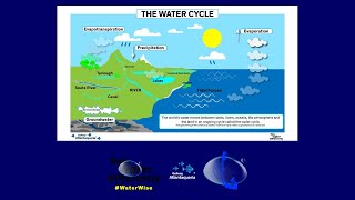 The Water Cycle  See Water Differently [upl. by Llibyc]