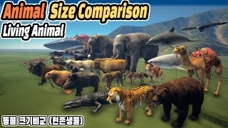 Animal Size Comparison Living 동물 크기비교  현존생물 [upl. by Dahij]