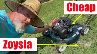 Cheap Lawn Mower  Zoysia Lawn Planting [upl. by Ocsecnarf]