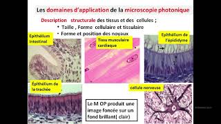 Cytologieبالعربية  2 Les méthodes détude de la cellule  Part 1 les microscopes photoniques [upl. by Engedi]