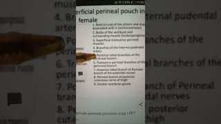 Perineal Pouches  Pelvic perineum Anatomy [upl. by Enalb]