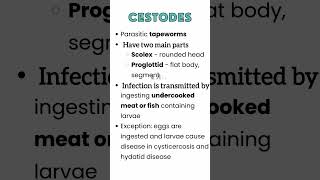 What are cestodes Cysticercosis Hydatid Disease parasitology medzukhruf cestodes microbiology [upl. by Thibaut]