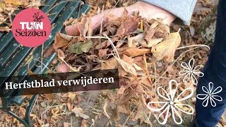 Herfstblad verwijderen  Tuinseizoen [upl. by Attebasile]